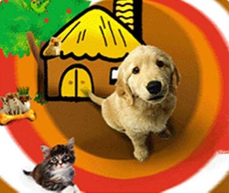 北京金凱利寵物樂園 公司網(wǎng)站設計（保密）